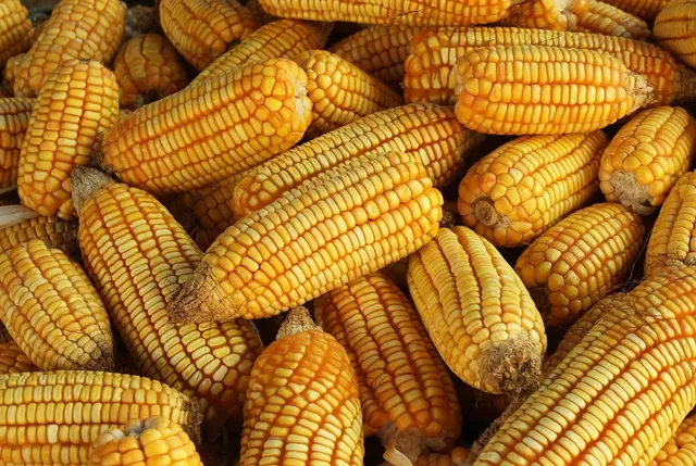 AGRO ST FLOWAIR