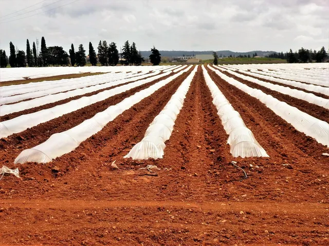AGRO HT FLOWAIR