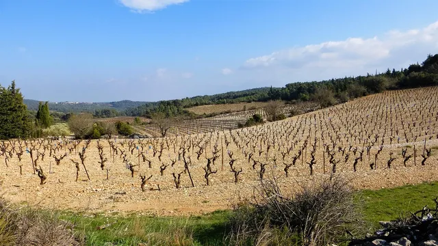 AGRO HT FLOWAIR