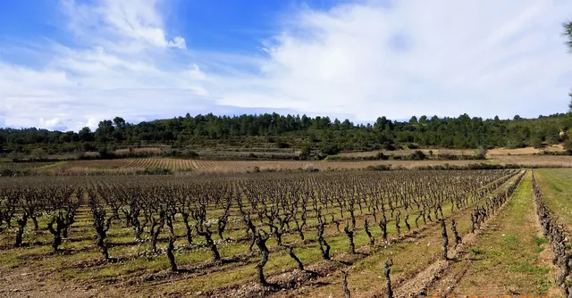 AGRO SP FLOWAIR